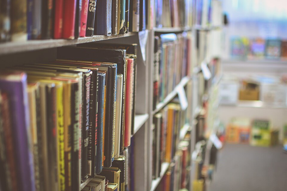 Bookshelves containing a library collection