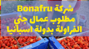 إسبانيا تعلن عن حاجتها لمئات العمال