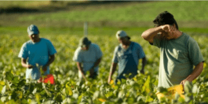 بعد إيطاليا وإسبانيا .. البرتغال تحتاج مغاربة للعمل في البناء والفلاحة‎