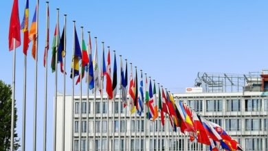 شروط الحصول على الجنسية