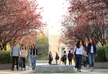 الدراسة في تركيا