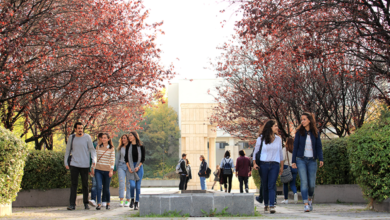 الدراسة في تركيا