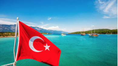 فرص عمل المصريين في تركيا