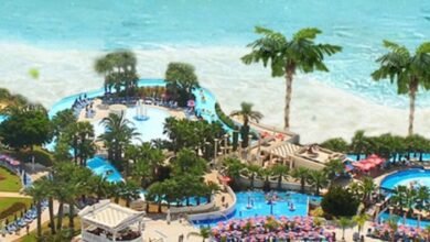 كيف تحصل على الجنسية الاستثمارية